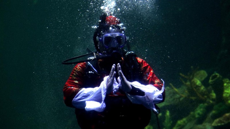 Barongsai Underwater (CNBC Indonesia/ Tri Susilo)