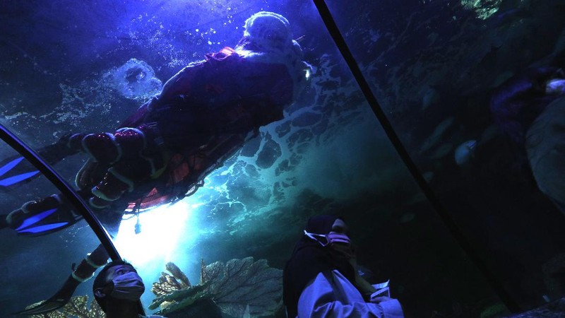 Barongsai Underwater (CNBC Indonesia/ Tri Susilo)