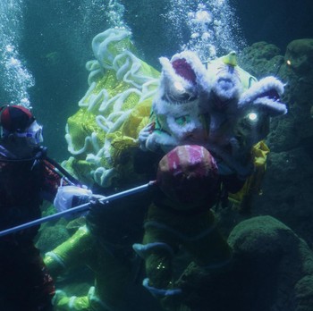 Sambut Imlek, Atraksi Barongsai dalam Aquarium Raksasa