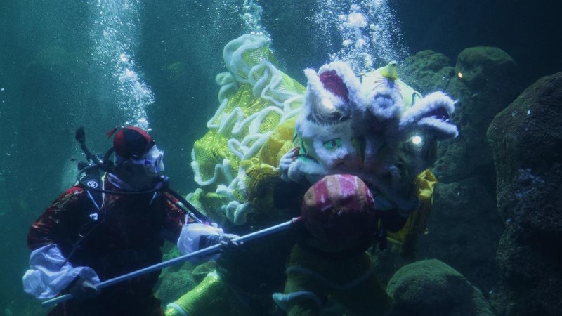Barongsai Underwater (CNBC Indonesia/ Tri Susilo)