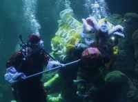 Sambut Imlek, Atraksi Barongsai dalam Aquarium Raksasa