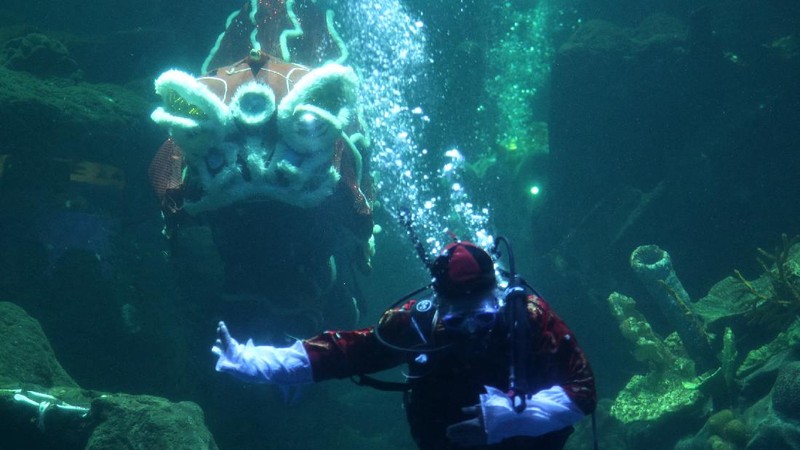 Barongsai Underwater (CNBC Indonesia/ Tri Susilo)
