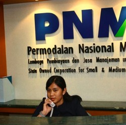 Kenalin PNM, Si Jurus Rahasia BBRI Untuk Gaet Ultra Mikro