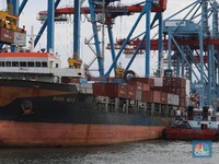 Neraca Dagang Diramal Surplus Lagi, Senang atau Sedih Nih?