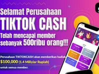 Tiktok Cash Diblokir, Skemanya Mirip Investasi Ilegal Vtube
