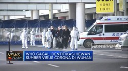 WHO Gagal Identifikasi Hewan Sumber Virus Corona di Wuhan
