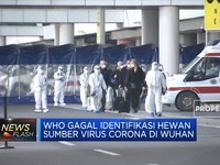 WHO Gagal Identifikasi Hewan Sumber Virus Corona di Wuhan