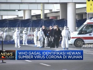 WHO Gagal Identifikasi Hewan Sumber Virus Corona di Wuhan