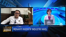 Strategi Mendorong Investasi Pemanfaatan Nikel Kadar Rendah