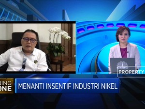 Strategi Mendorong Investasi Pemanfaatan Nikel Kadar Rendah