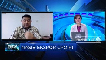 Kenaikan Tarif Impor Tak Pengaruhi Penyerapan CPO RI di India