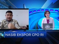 Kenaikan Tarif Impor Tak Pengaruhi Penyerapan CPO RI di India