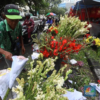 Berburu Bunga Imlek yang Dipercaya Datangkan Rezeki