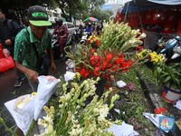 Berburu Bunga Imlek yang Dipercaya Datangkan Rezeki