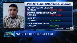 Program B30 Topang Demand & Penyerapan CPO Dalam Negeri