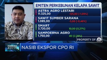 Program B30 Topang Demand & Penyerapan CPO Dalam Negeri
