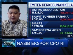 Program B30 Topang Demand & Penyerapan CPO Dalam Negeri