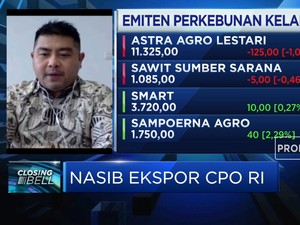 Program B30 Topang Demand & Penyerapan CPO Dalam Negeri