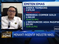 Stafsus Menteri ESDM Soal Sanksi Bagi Pelanggar HPM Nikel