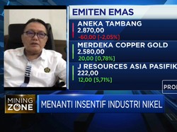 Stafsus Menteri ESDM Soal Sanksi Bagi Pelanggar HPM Nikel