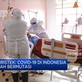 Menristek: Covid-19 di Indonesia Sudah Bermutasi