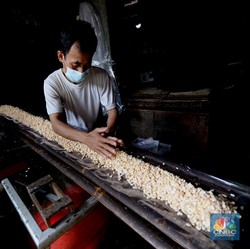 Impor Kedelai Anjlok Dalam Sebulan, Tahu Tempe Aman?