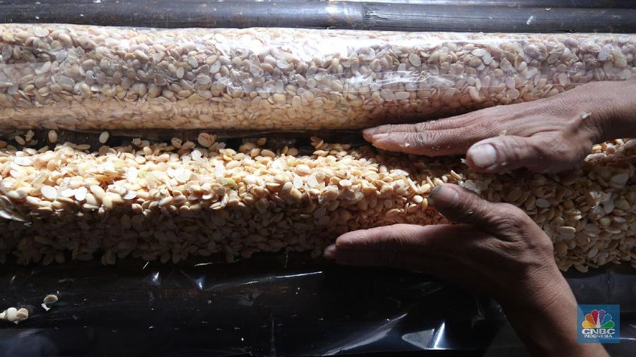 Perajin memproduksi tempe di salah satu pabrik rumahan di Jakarta, Senin (15/2/2021). Harga biji kedelai terus menguat di tengah penurunan ekspor dari Amerika Serikat dan sentimen proyeksi kenaikan pasokan dari negara produsen. (CNBC Indonesia/Tri Susilo)