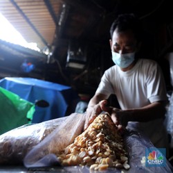 Jauh Swasembada, Produk-Produk Pangan Ini Masih Harus Diimpor