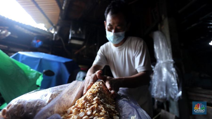 Perajin memproduksi tempe di salah satu pabrik rumahan di Jakarta, Senin (15/2/2021). Harga biji kedelai terus menguat di tengah penurunan ekspor dari Amerika Serikat dan sentimen proyeksi kenaikan pasokan dari negara produsen. (CNBC Indonesia/Tri Susilo)