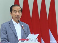 Rencana Besar Jokowi Bangun Lumbung Pangan Raksasa di Sumba