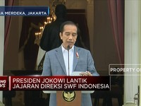 Ini Dia Profil Direksi SWF INA Pilihan Jokowi