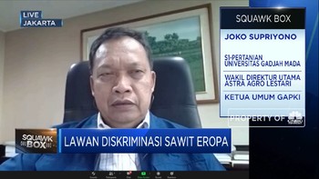 Nilai Ekspor Terus Naik, Alasan Uni Eropa Diskriminasi CPO RI