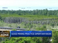 Banjir Kalimantan, Good Mining Practice Dipertanyakan