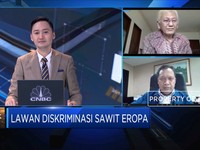 Langkah Gapki Dukung RI Gugat Diskriminasi Uni Eropa