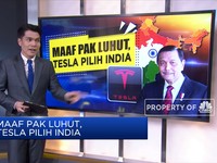 Maaf Pak Luhut, Tesla Pilih India