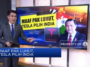 Maaf Pak Luhut, Tesla Pilih India