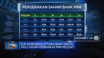 Dilanda Euforia Bank Digital, Saham Bank Mini Terbang Tinggi