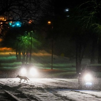 Gelap Gulita, Potret Texas AS Mati Lampu Berhari-hari