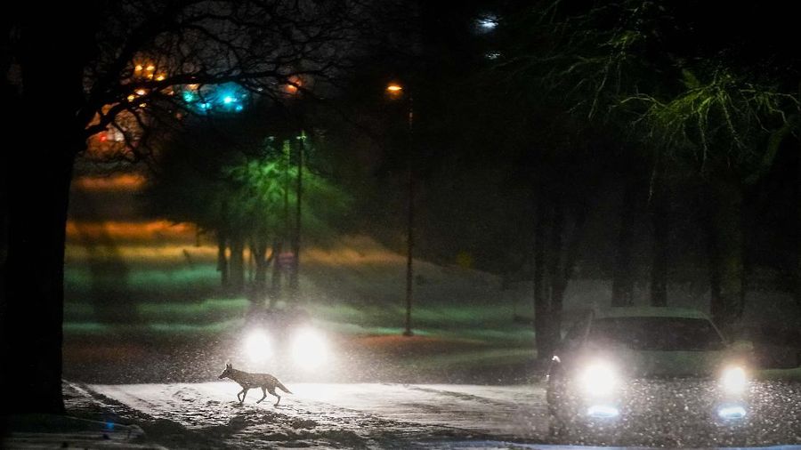 CORRECTS SPELLING OF LAST NAME TO MAMOU, NOT MAMU  - Howard and Nena Mamou  eat dinner at their home in the Glenwood neighborhood in Hutto, Texas, Tuesday, Feb 16, 2021. (Ricardo B. Brazziell/Austin American-Statesman via AP)