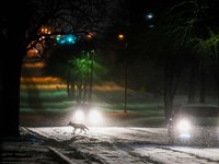 Gelap Gulita, Potret Texas AS Mati Lampu Berhari-hari
