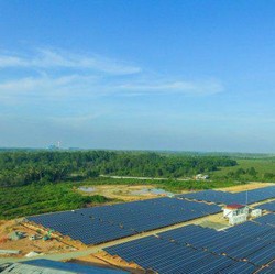 ITMG Mau Bagi Dividen Rp6.416 per Saham, Simak Jadwalnya!