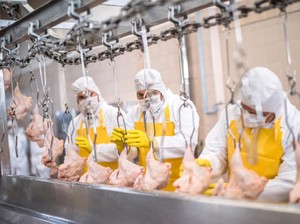 Lowongan Kerja Posisi Quality Control di Bali, Gaji Rp 3,5 Juta!