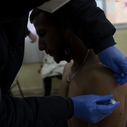 Apa Itu Virus West Nile di Israel yang Serang 150 Orang Bikin Waswas
