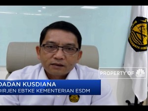 Kejar Bauran EBT 23%, RI Perlu Tambahan 3000 MW/Tahun