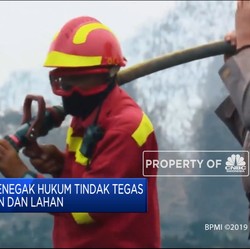 Jokowi: Tak Becus Urus Karhutla, Saya Copot!