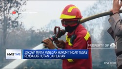 Jokowi: Tak Becus Urus Karhutla, Saya Copot!