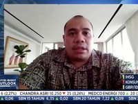Buka-bukaan Pandu Sjahrir Soal IPO Terbesar dalam Sejarah RI