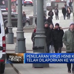 Rusia Umumkan Kasus Pertama Penularan Flu Burung H5N8