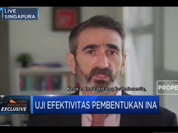 SWF INA Diresmikan, Begini Minat Investor Global Masuk ke RI