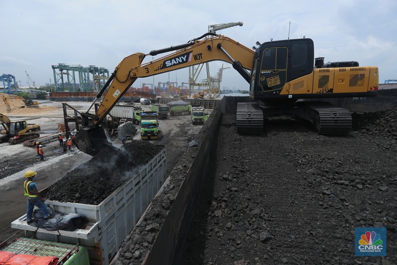 Pekerja melakukan bongkar muat batubara di Terminal Tanjung Priok, Jakarta, Kamis (6/1/2022). Pemerintah memutuskan untuk menyetop ekspor batu bara pada 1–31 Januari 2022 guna menjamin terpenuhinya pasokan komoditas tersebut untuk pembangkit listrik tenaga uap (PLTU) milik PLN dan independent power producer (IPP) dalam negeri. Kurangnya pasokan batubara dalam negeri ini akan berdampak kepada lebih dari 10 juta pelanggan PLN, mulai dari masyarakat umum hingga industri, di wilayah Jawa, Madura, Bali (Jamali) dan non-Jamali. (CNBC Indonesia/ Tri Susilo)